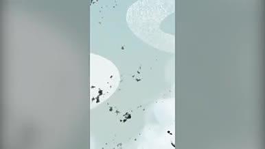 2K竖版大雪节气视频海报视频的预览图